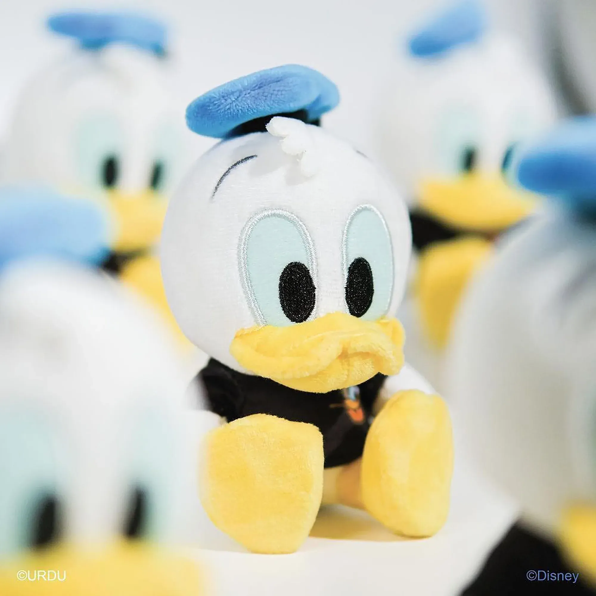 URDU / DISNEY ACTION SOFTOY SERIES - DONALD DUCK (CATALOG EDITION)